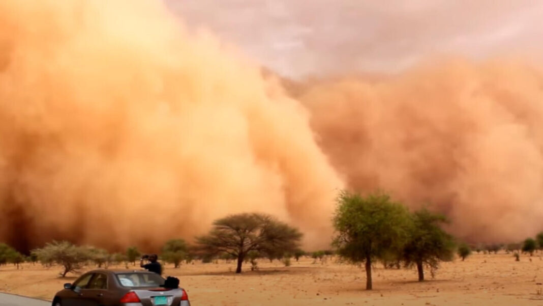 COP 16 : Les Tempêtes de sable et de poussière au menu des négociateurs