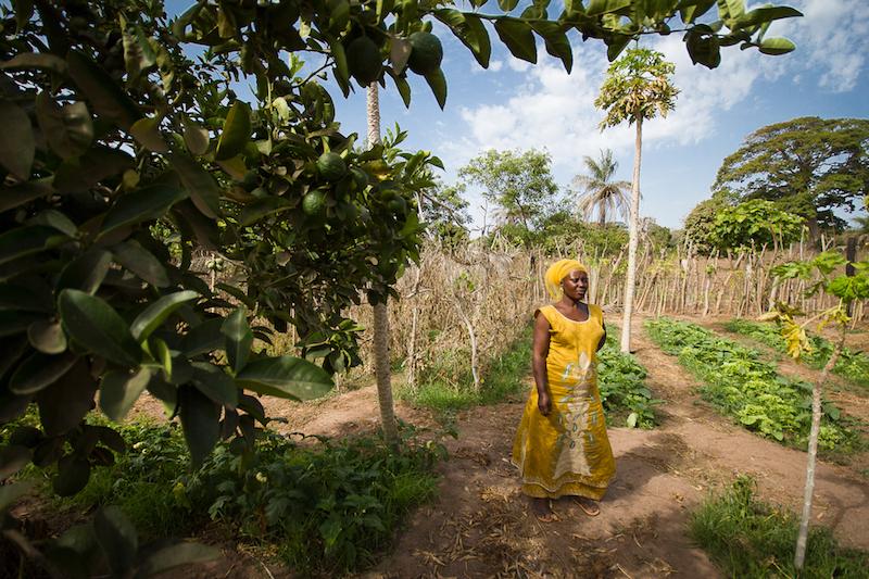 Environnement : À la découverte de l’agroécologie ?