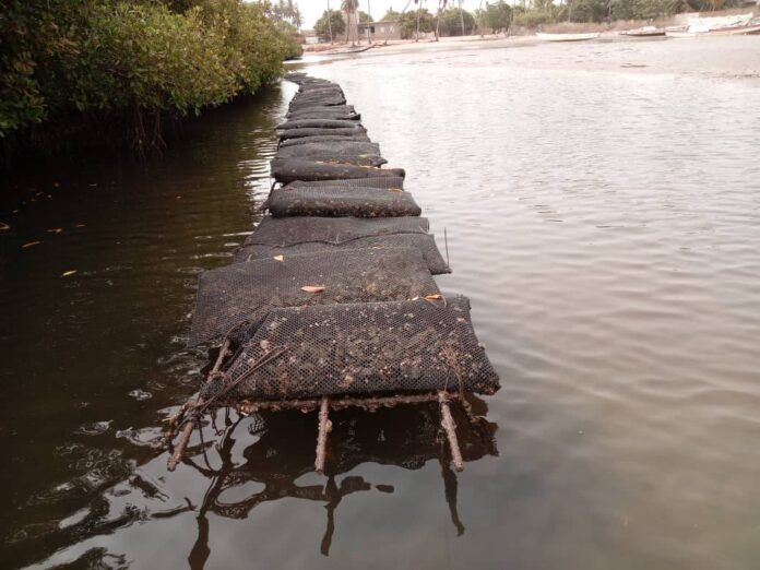 Aquaculture : Le 𝗣𝗿𝗼𝗷𝗲𝘁 𝗘𝗺𝗽𝗹𝗼𝗶𝘀 𝘃𝗲𝗿𝘁𝘀 𝗗𝗲𝗹𝘁𝗮 𝗱𝘂 𝗦𝗮𝗹𝗼𝘂𝗺 en march