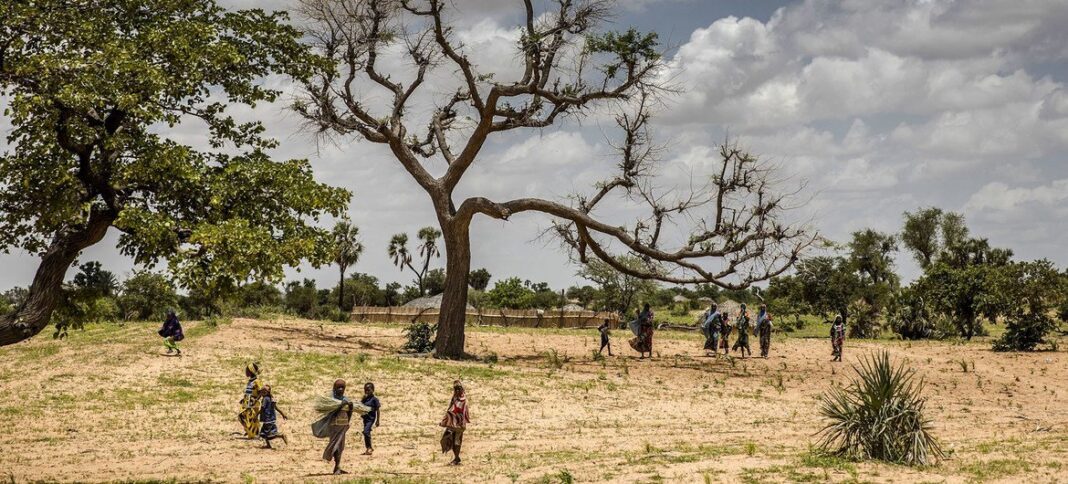 Résilience climatique : L’opportunité qu’offre le Programme SURAGGWA au Sénégal