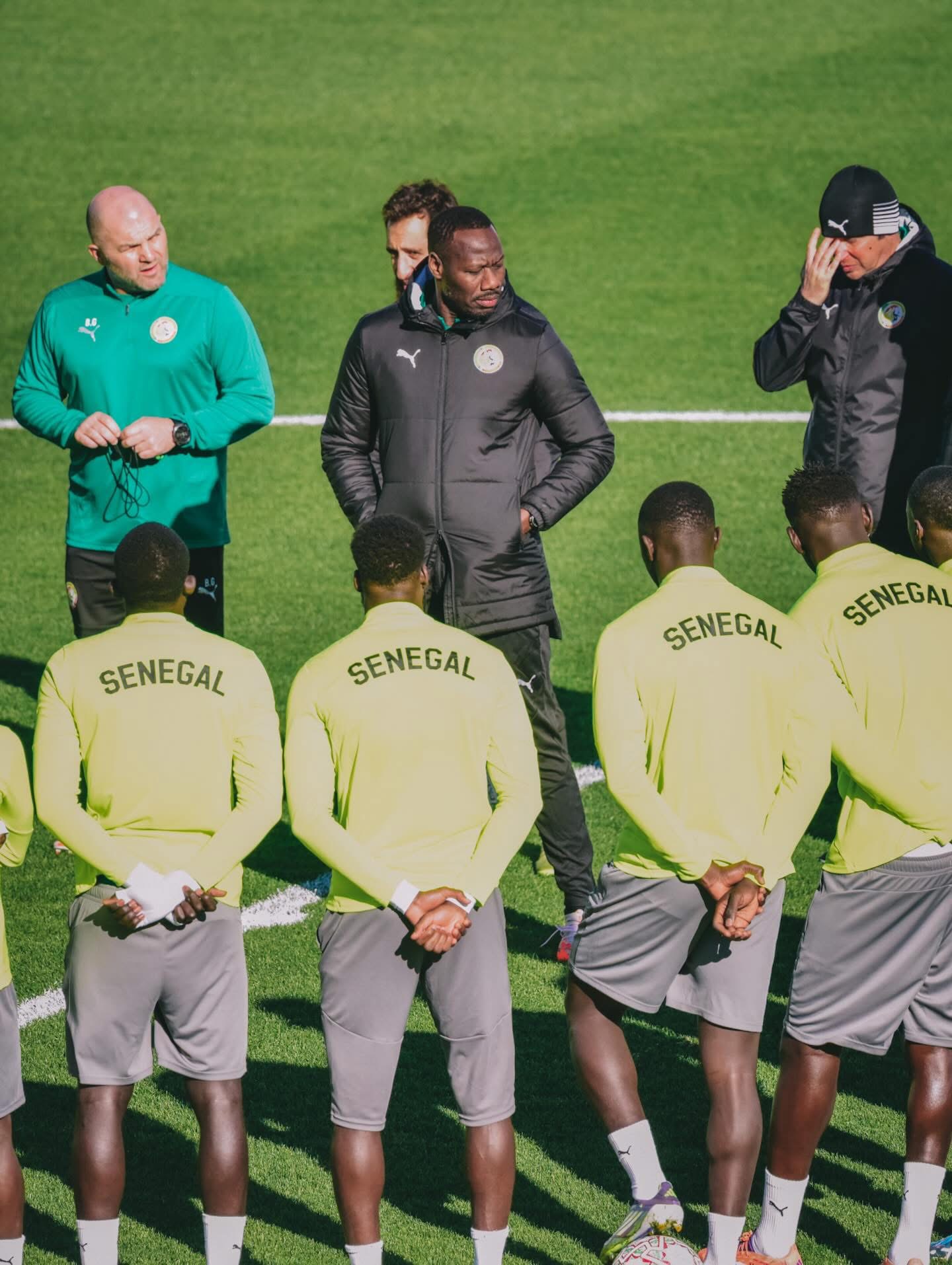 Fédération Sénégalaise de Football : cinq profils en lice pour le poste de DTN