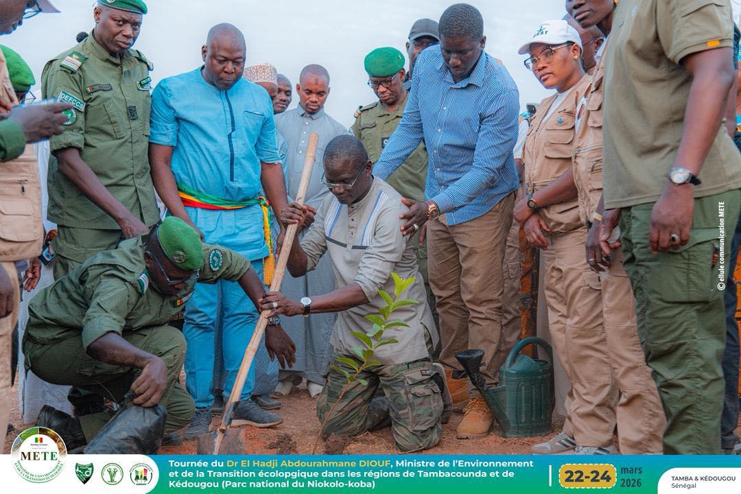 Tambacounda : El Hadji Abdourahmane Diouf en mission pour accélérer la restauration des écosystèmes