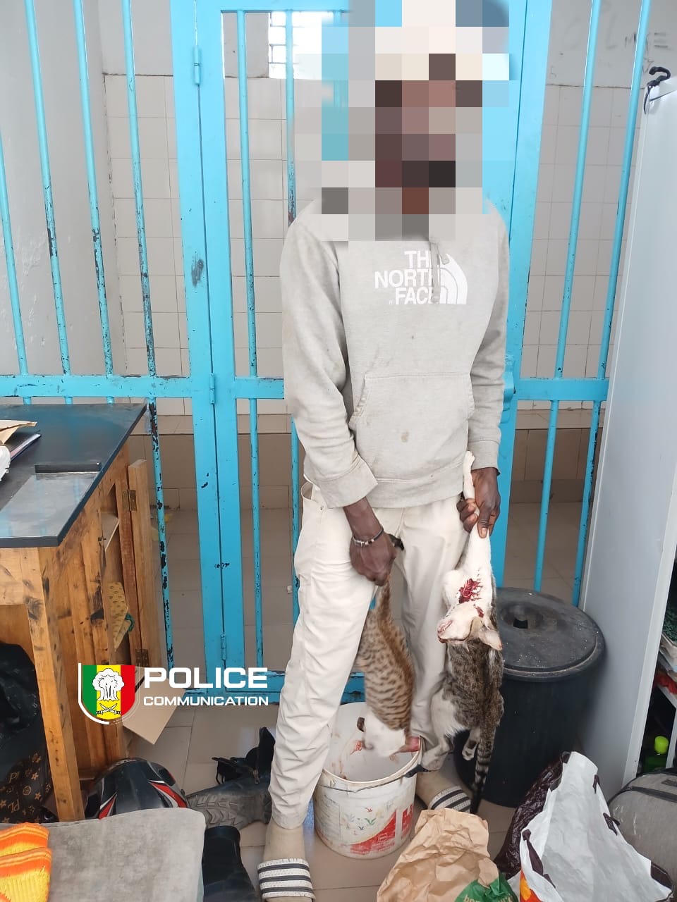 Dakar : un homme déféré pour vente de viande impropre à la consommation