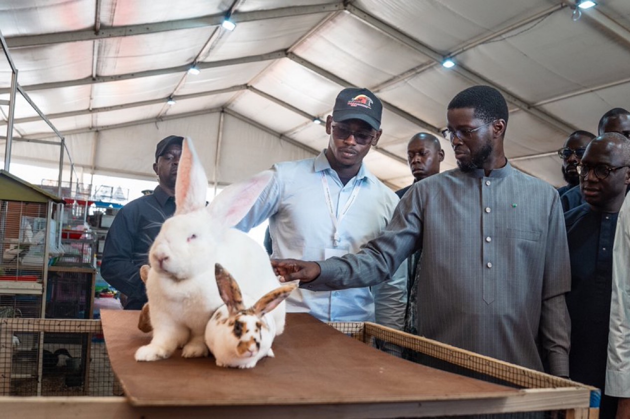 Bassirou Diomaye Faye mise sur la transformation du secteur primaire