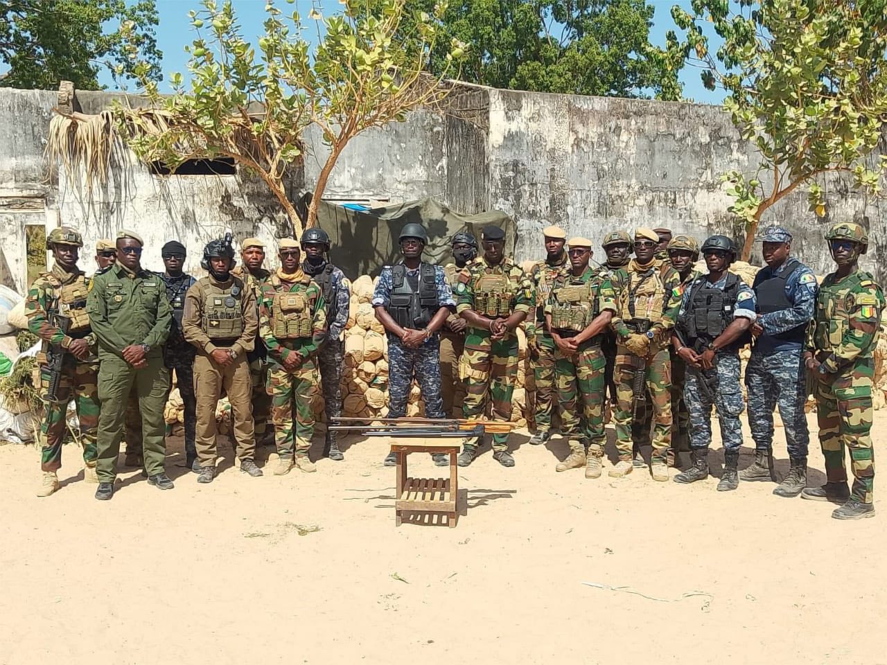 Casamance : plus de six tonnes de chanvre indien saisies lors de l’opération « Elone »