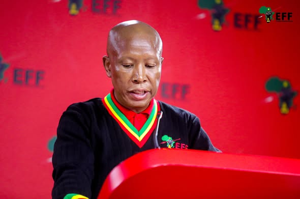 XÉNOPHOBIE EN AFRIQUE DU SUD, JULIUS MALÉMA RAPPELLE L’HISTOIRE…