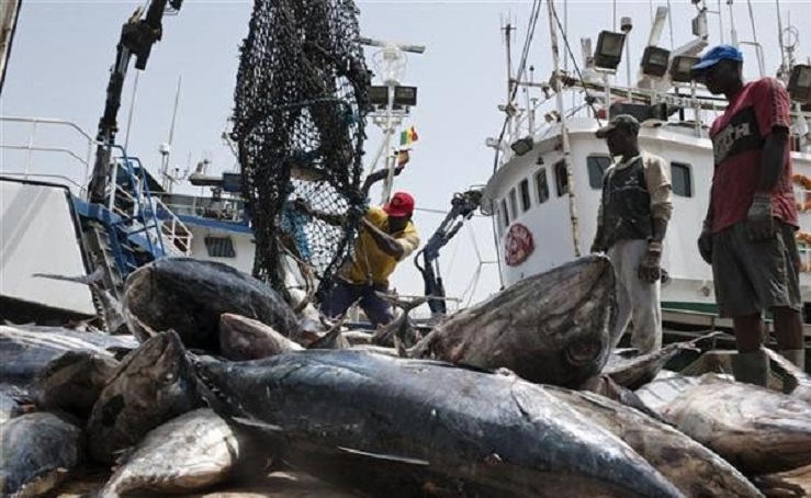 Pêche : le Sénégal attribue quatre licences pour renforcer l’approvisionnement du marché local
